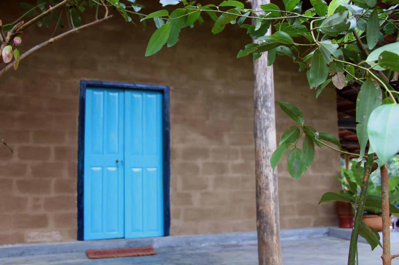 קורונגאלה Silver Hill Ecovillage מראה חיצוני תמונה