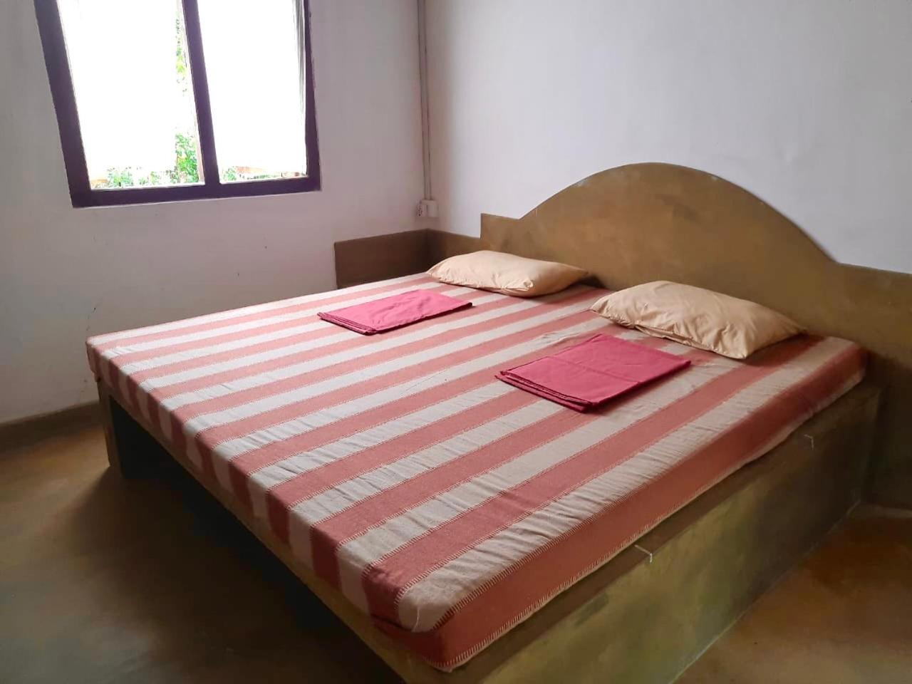 קורונגאלה Silver Hill Ecovillage מראה חיצוני תמונה