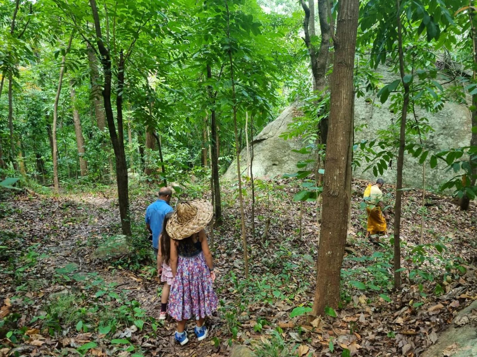 קורונגאלה Silver Hill Ecovillage מראה חיצוני תמונה