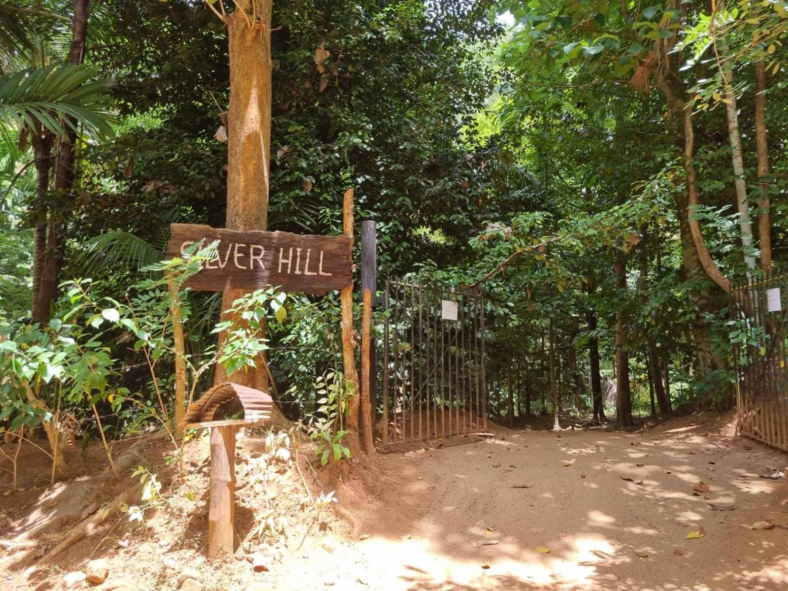 קורונגאלה Silver Hill Ecovillage מראה חיצוני תמונה