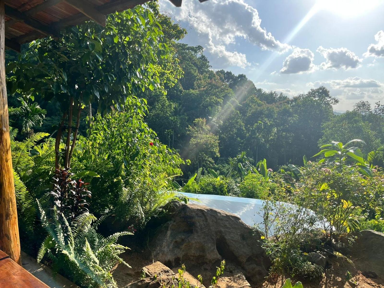קורונגאלה Silver Hill Ecovillage מראה חיצוני תמונה
